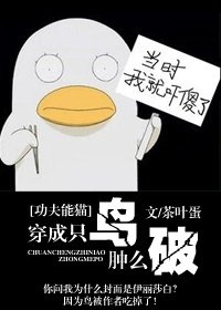 （功夫熊猫同人）穿成只鸟肿么破