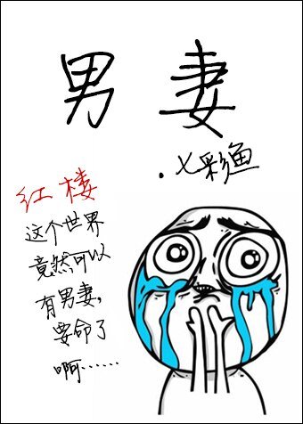 （红楼同人）男妻
