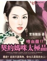 嗜血撒旦：契约妈咪太极品