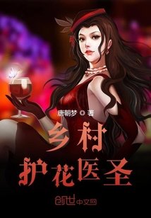《乡村护花医圣》