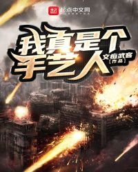 《我真是个手艺人》