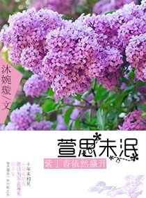 萱思未泯紫丁香依然盛开
