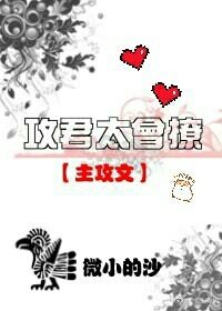 攻君太会撩