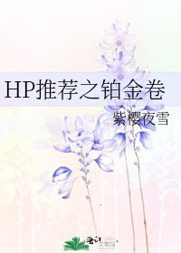 HP推荐之铂金卷