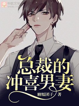 总裁的冲喜男妻