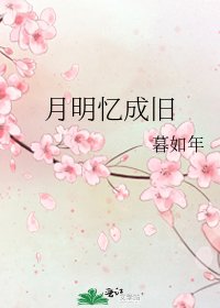 《月明忆成旧》