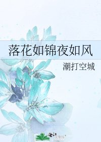 《落花如锦夜如风》