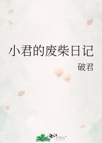 小君的废柴日记