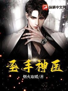 《圣手神医》