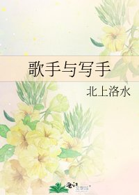 歌手与写手