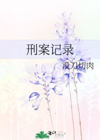 刑案记录