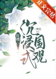 《(红楼同人)红楼沉浸式围观》