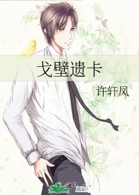 《戈壁遗卡》