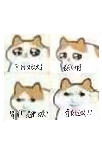 《(猎人同人)穿成虫族文向导》
