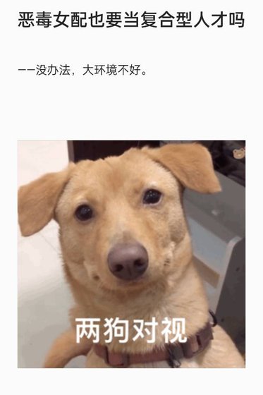 恶毒女配也要当复合型人才吗