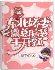 东北娇妻：开局给霸总脑袋干开瓢
