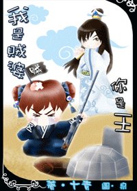 我是贼婆你是王