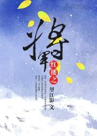 （BG/红楼同人）红楼之将军