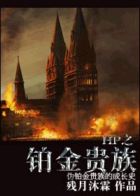 （HP同人/BL）铂金贵族