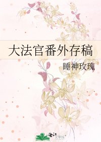 大法官番外存稿